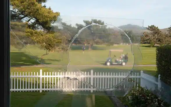 Professional item valuation and assessment