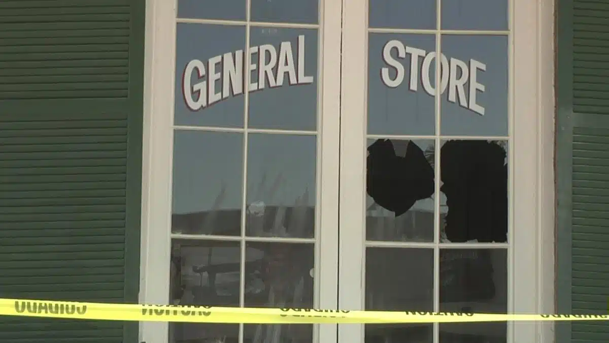 Property damage assessment and documentation