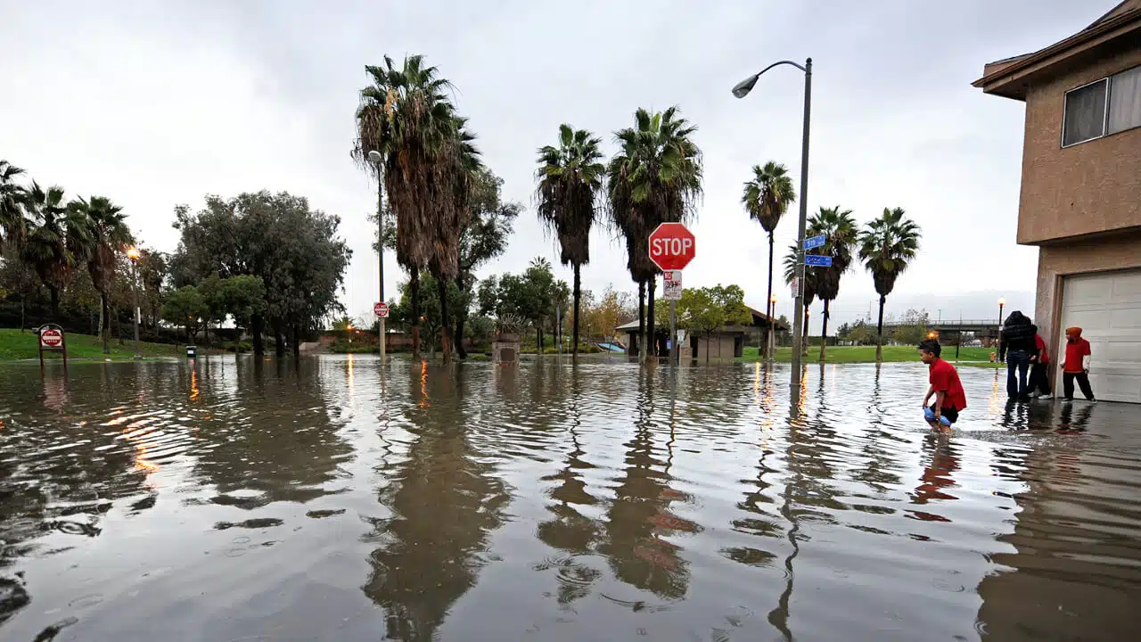 Water damage assessment and documentation process